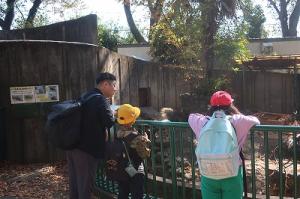 動物園1