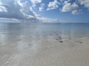 透き通った海水と海岸の写真1