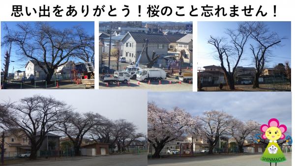 さくらの木HP