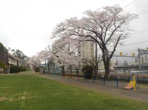 外の風景