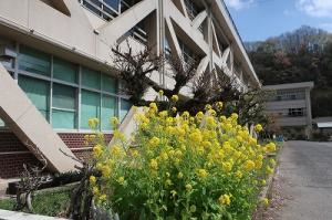 良い天気です