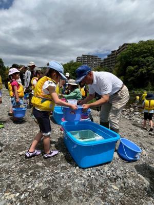 放流用の鮎を配っている様子
