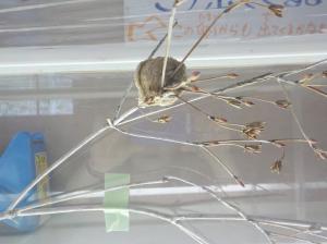 授業の様子