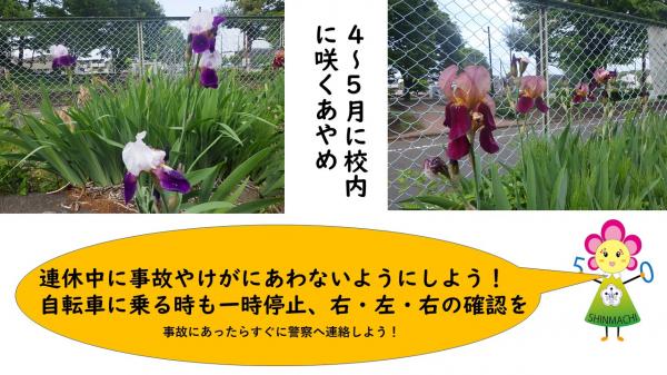 5月表紙