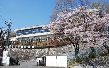 全景