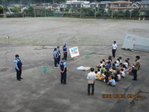 全体画像