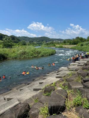 川流れを楽しんでいる様子