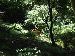 御岳６