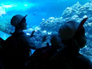 水族館の様子です。