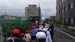 歩道に沿って子供たちが歩いている様子