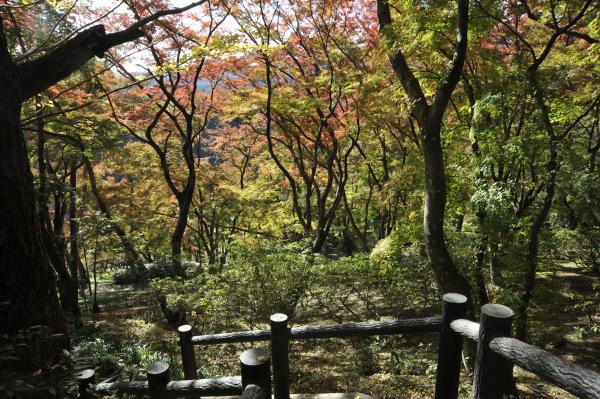 ブリジストン奥多摩園の画像2