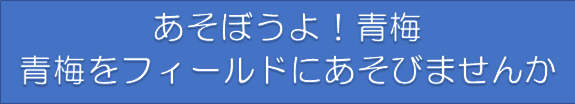 あそぼうよ!青梅 青梅をフィールドにあそびませんか